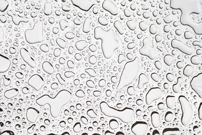 Polynukleotide vs. Filler – Was ist der Unterschied