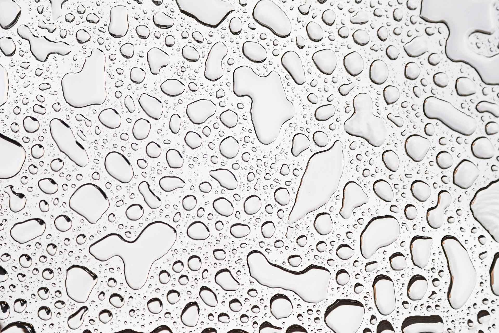 Polynukleotide vs. Filler – Was ist der Unterschied?